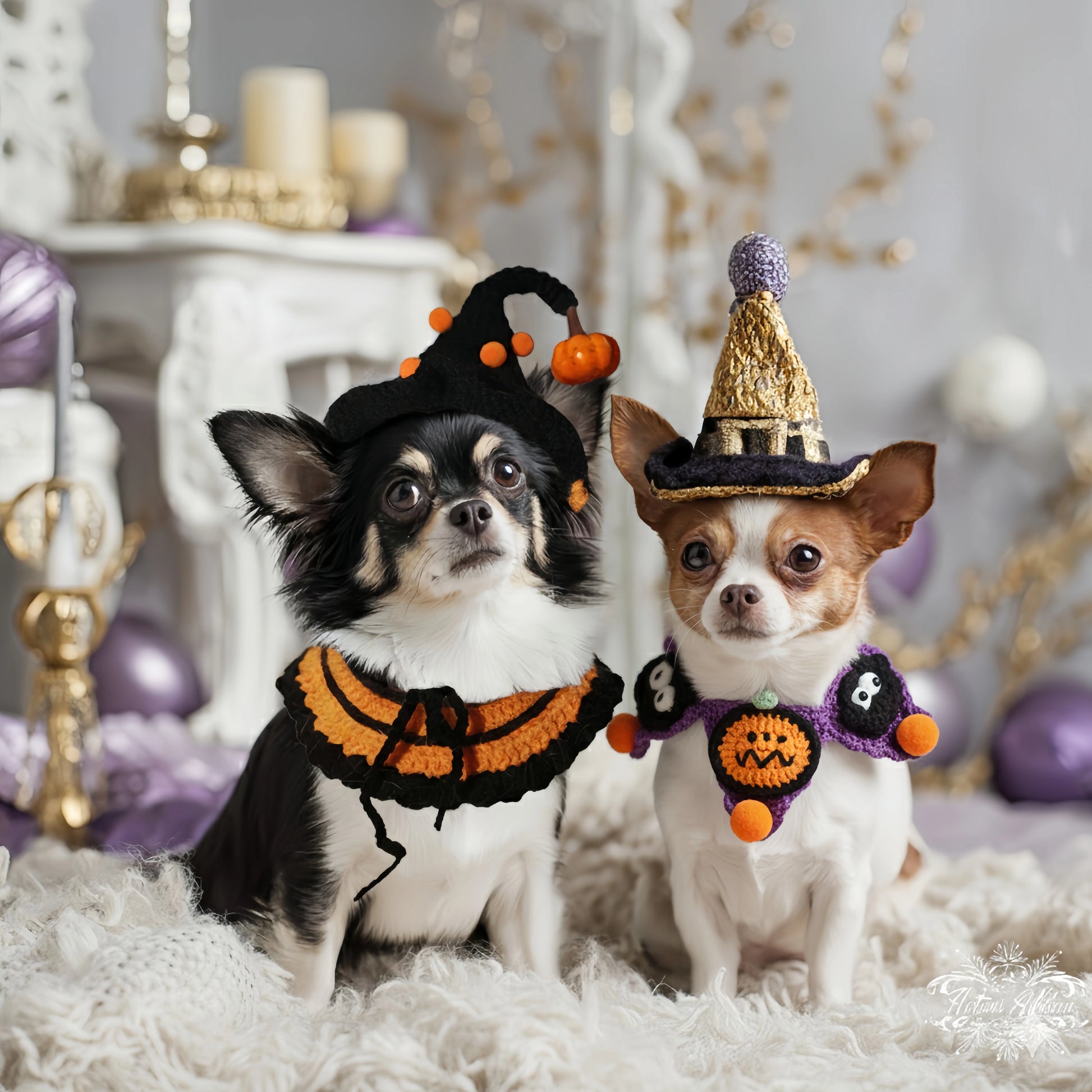 Playful dogs wearing cozy knitted hats and collars with cute Halloween  pattern.