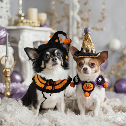 Playful dogs wearing cozy knitted hats and collars with cute Halloween  pattern.