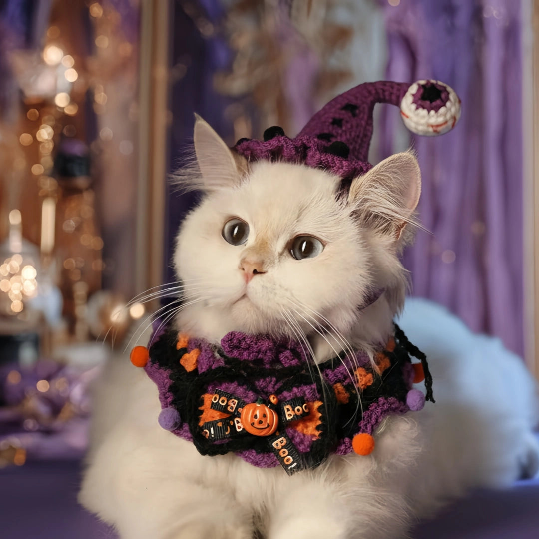 A white Persian cat wearing a purple and black knitted Halloween hat and collar set, sitting comfortably on a table.