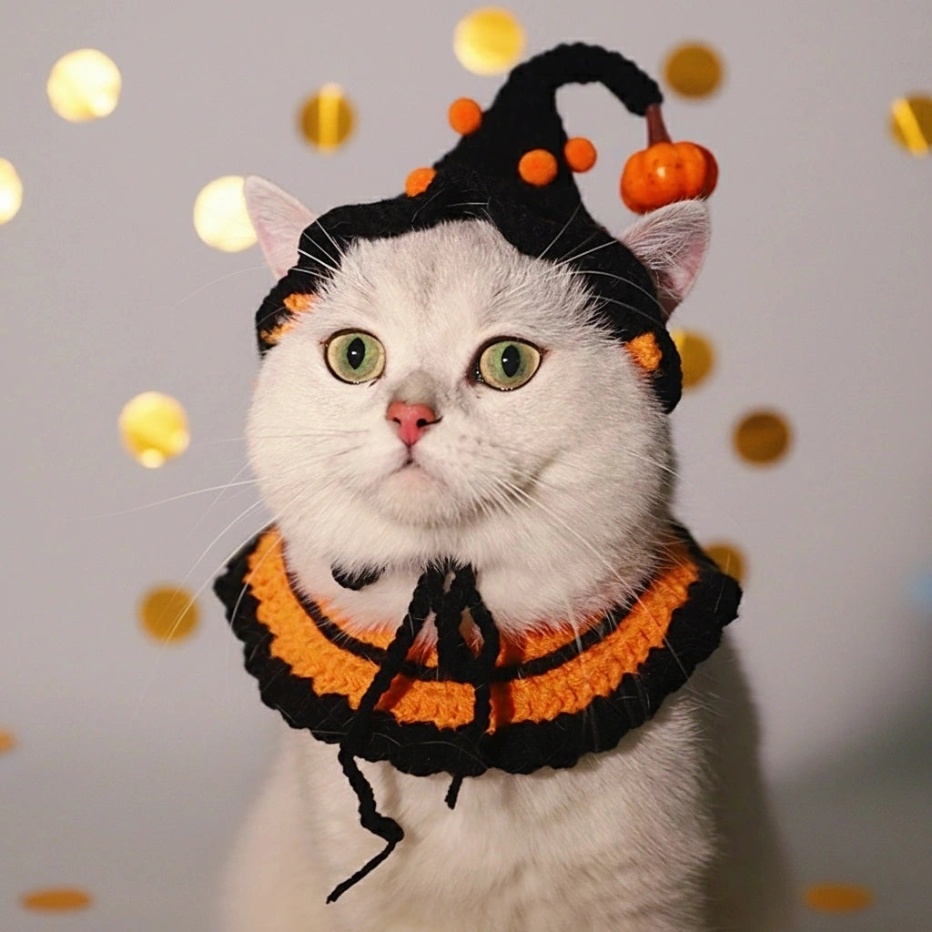 A cat wearing a classic orange and black knitted Halloween costume, including a collar and a pointed hat, looking at the camera.