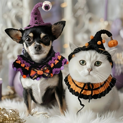 A cat and a dog wearing knitted Halloween costumes, including a collar and a pointed hat, looking at the camera.