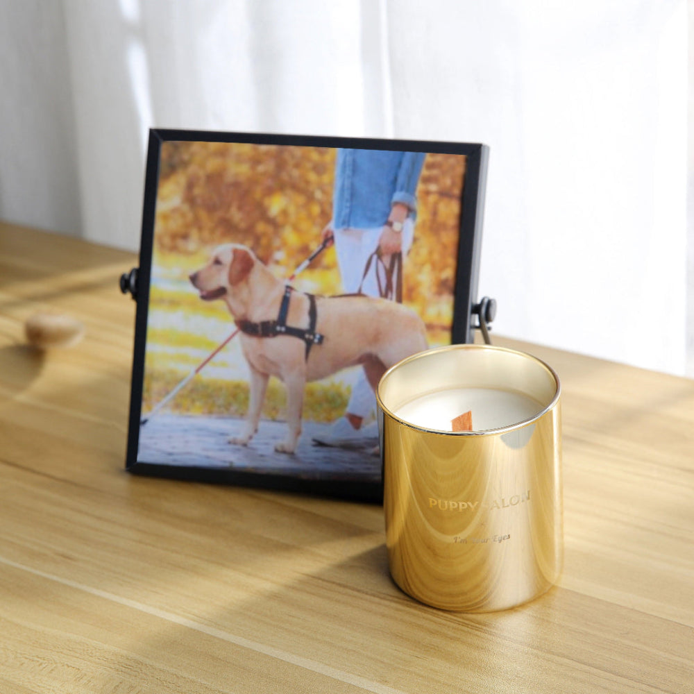 The Puppy Salon dog candle on a living room side table, creating a cozy and elegant ambiance.
