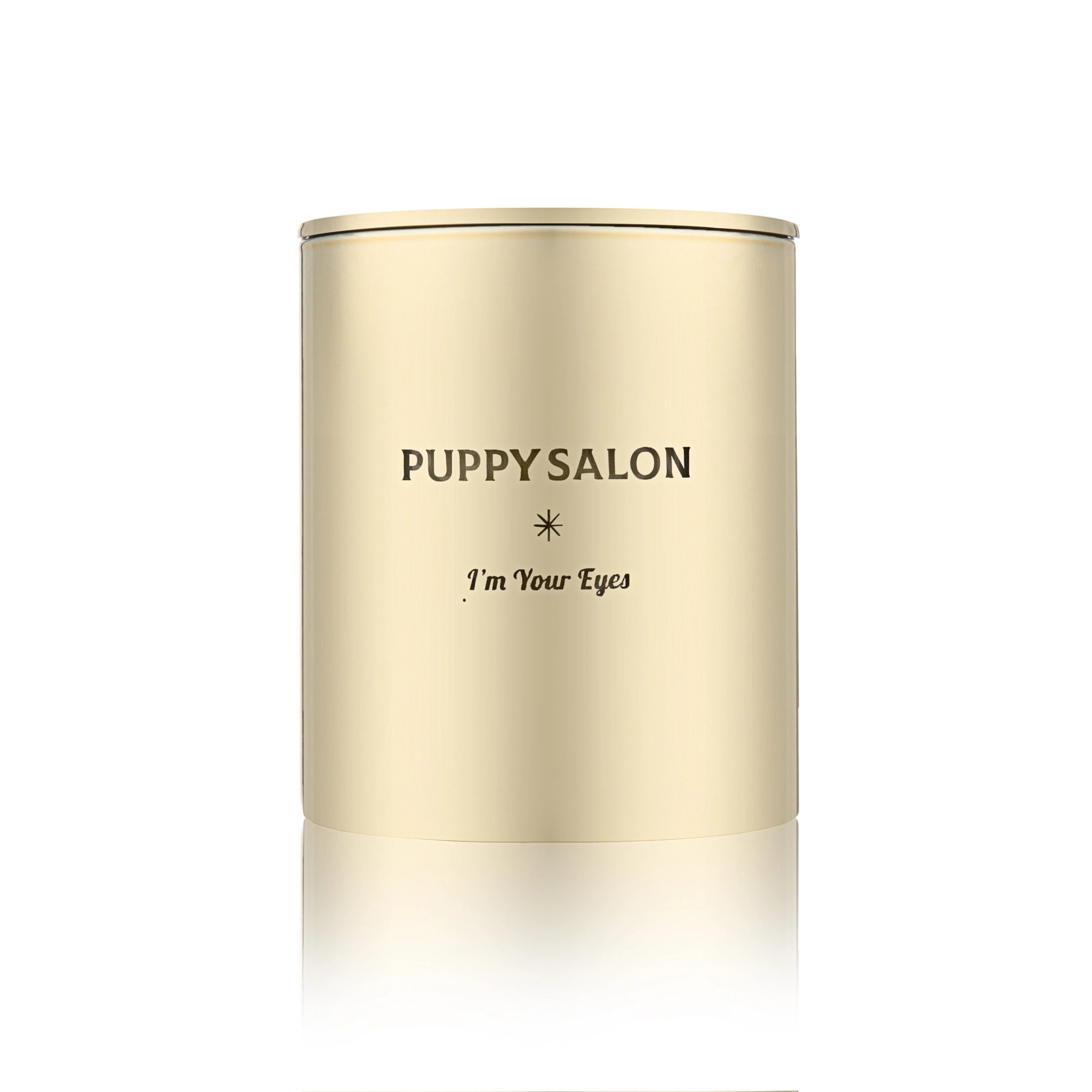 Puppy Salon dog candle in gold glass